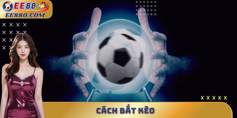 cách bắt kèo