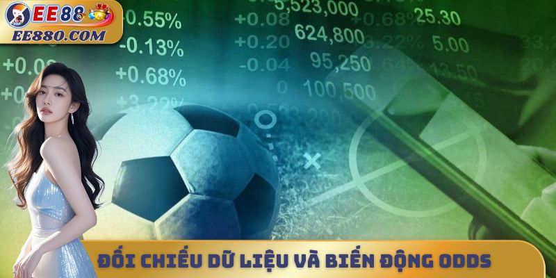 Đối chiếu dữ liệu và biến động odds